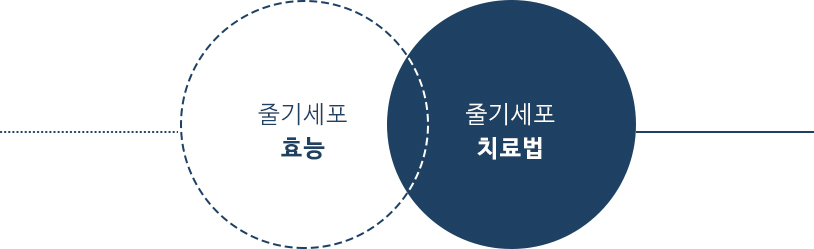 왼쪽 : 줄기세포 효능, 오른쪽 : 줄기세포 치료법